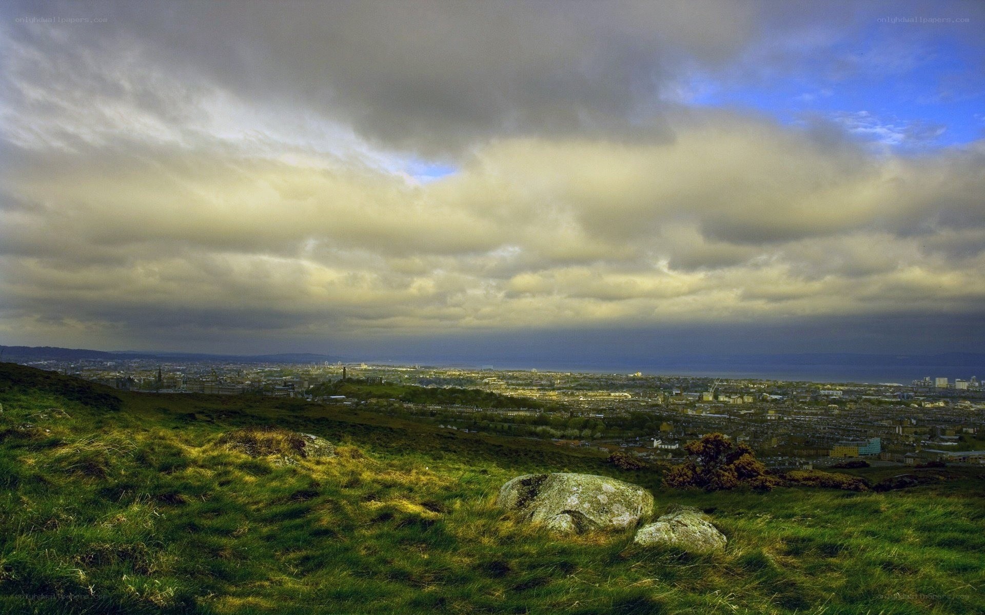 City view from a grassy hill