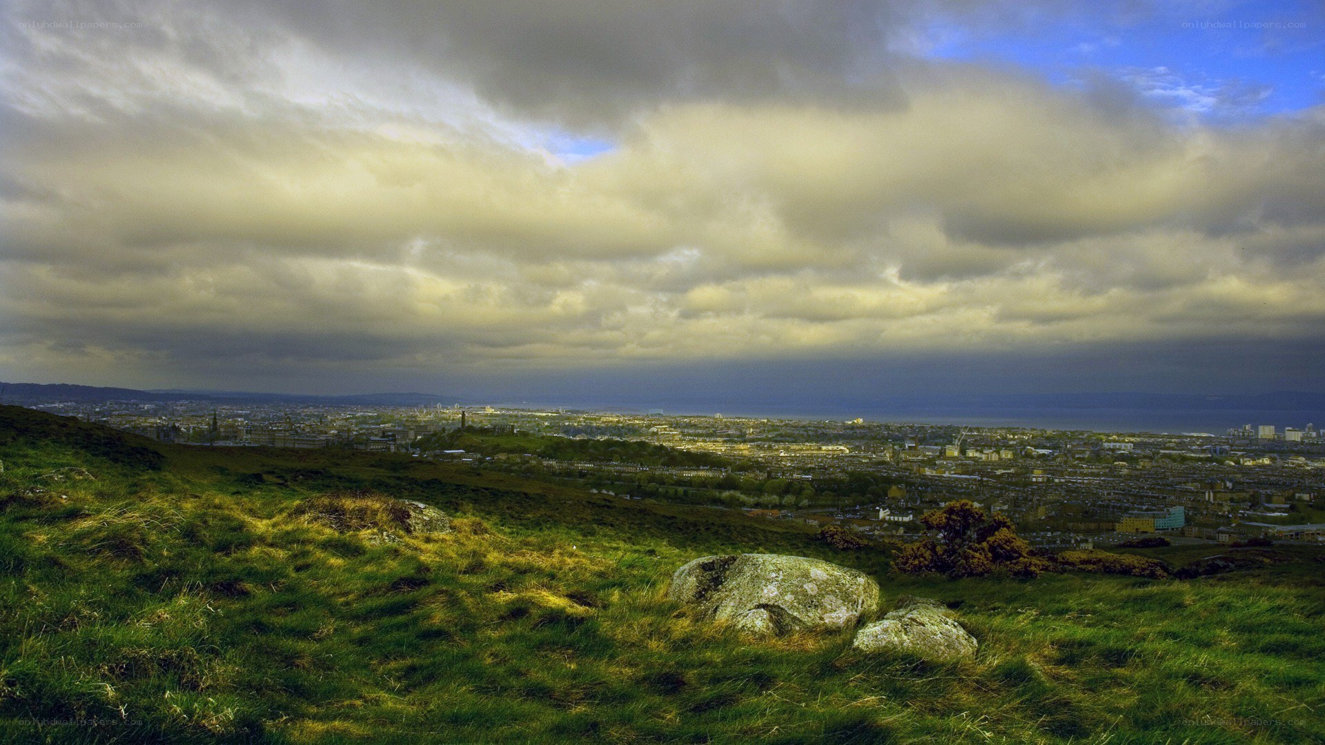 City view from a grassy hill