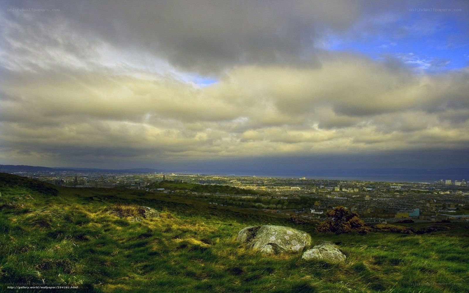 City view from a grassy hill