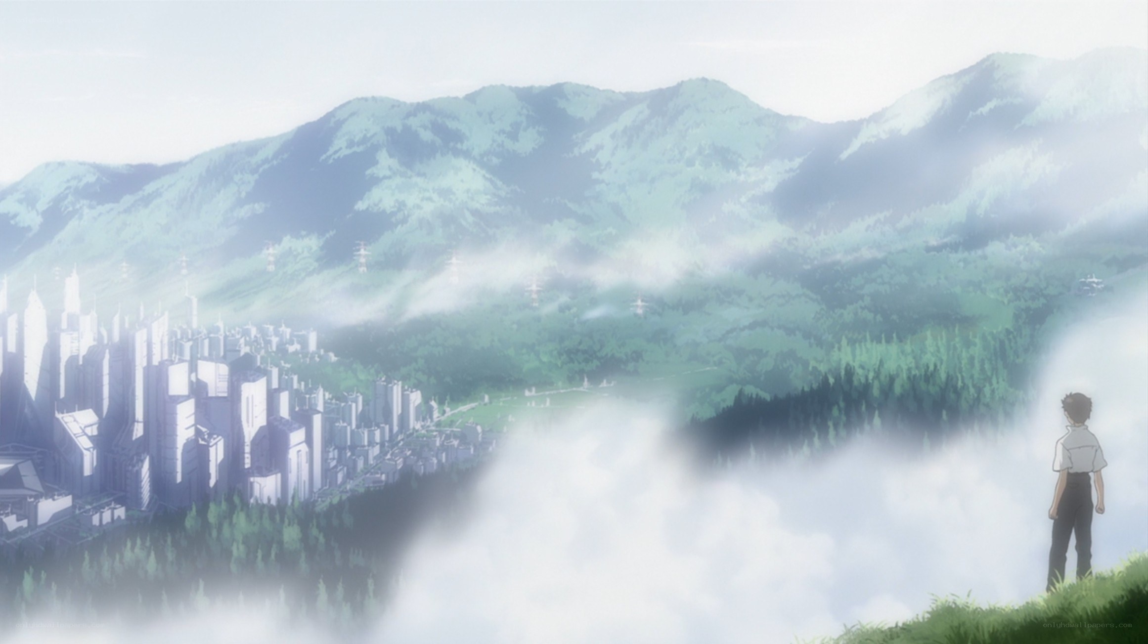 city view from a hill