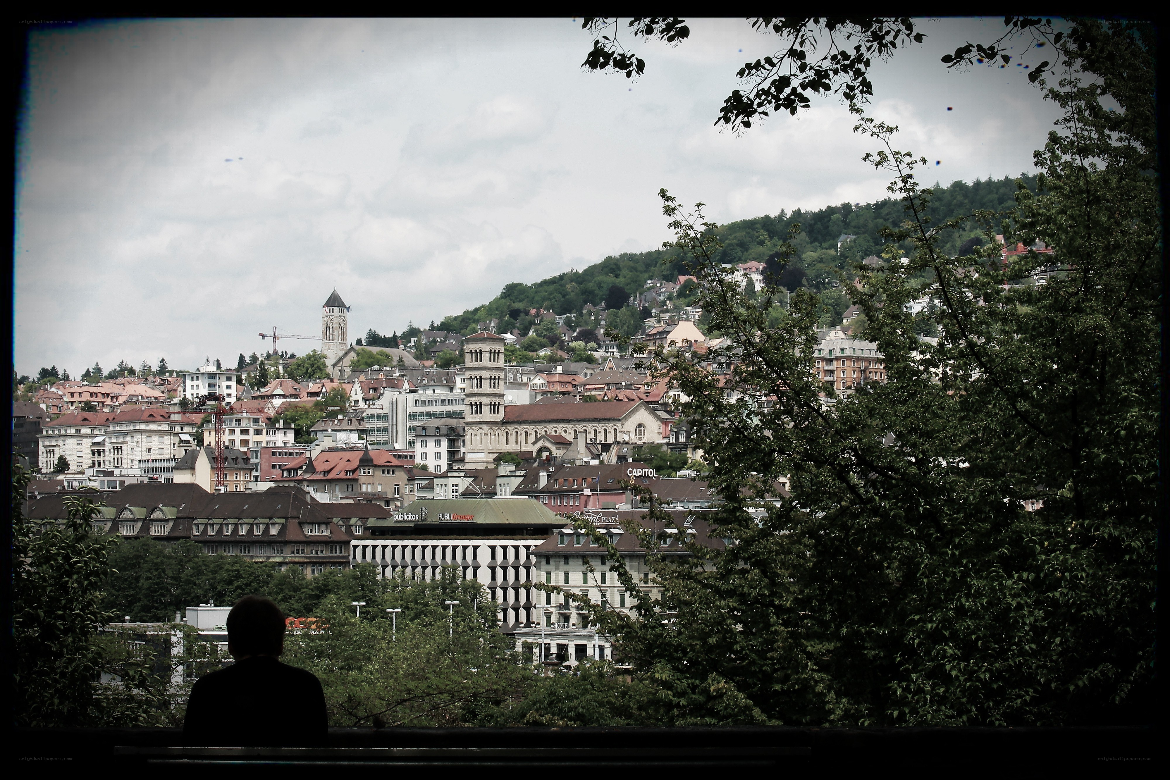 City view from a park