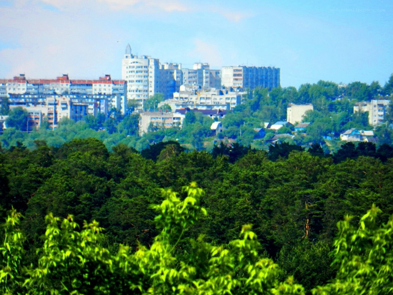 City view from forested hill