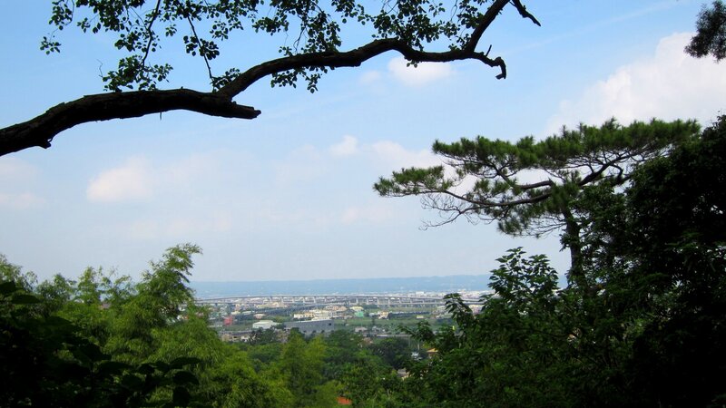 City View from Hill — Green