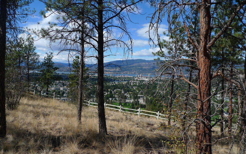 City View from Hillside — Blue