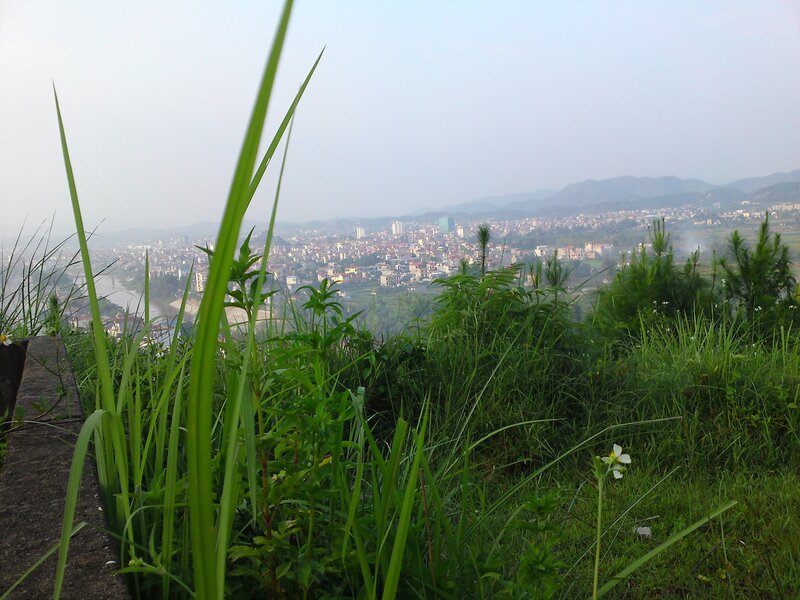 City View from Hillside — Green, Hazy