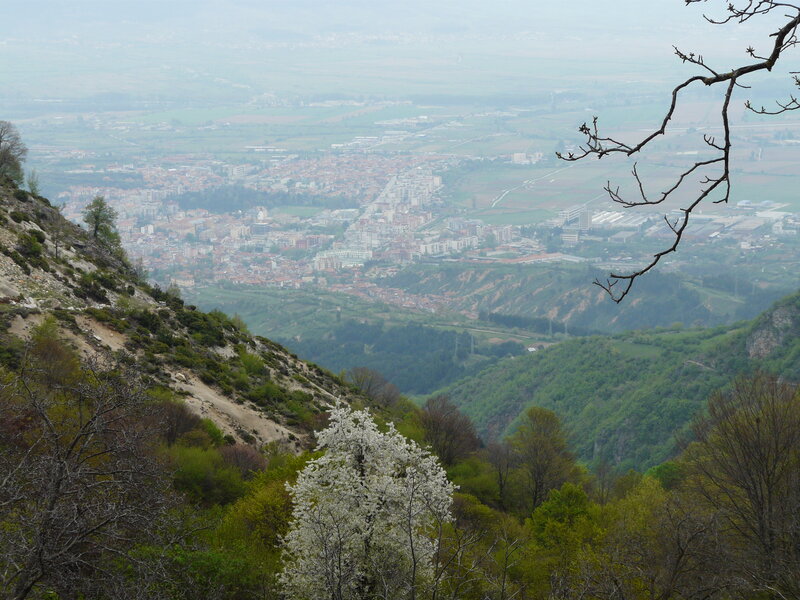 City View from Mountain — Green