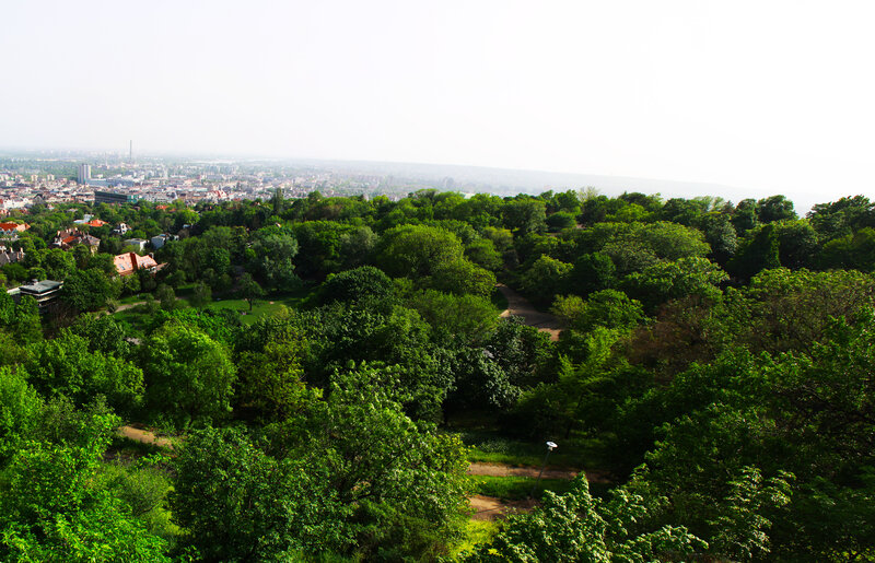 City View from Park — Green