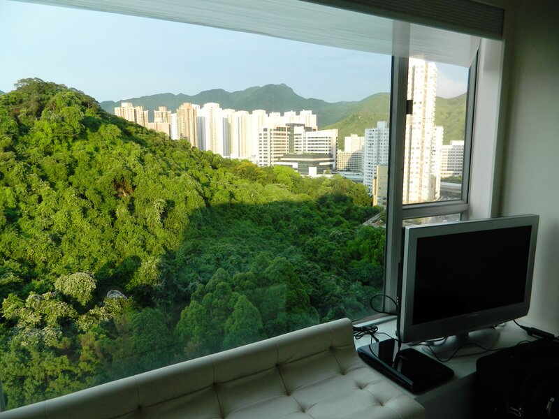 City View from Window — Green