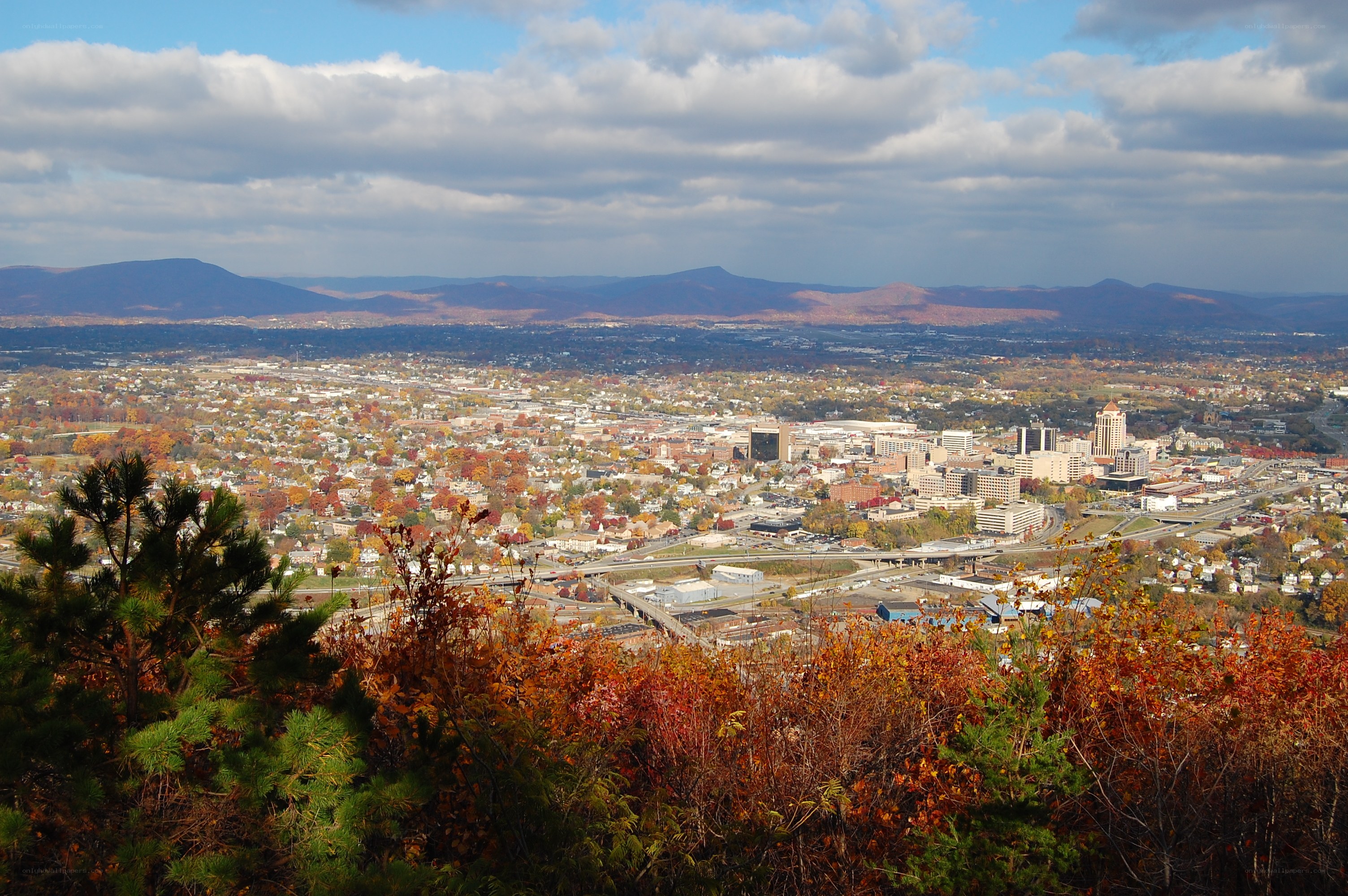 city view in autumn