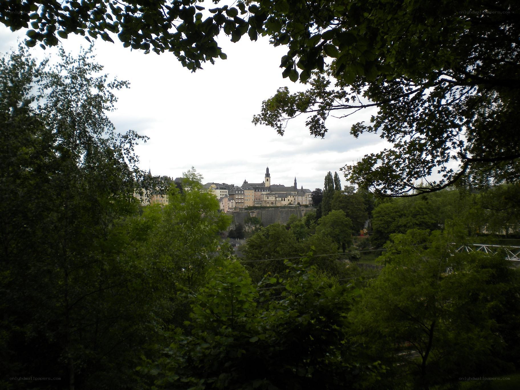 city view through trees