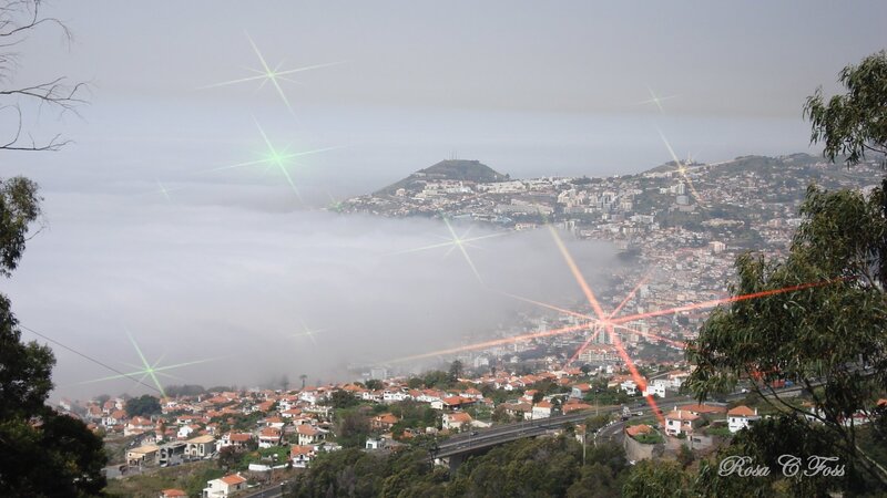 city view with fog and lens flares