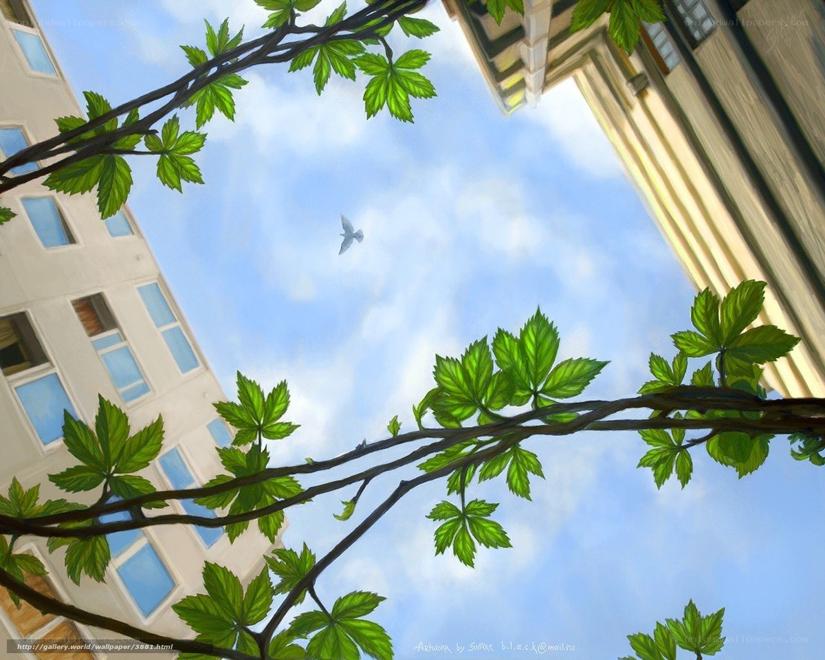 City view with green vines