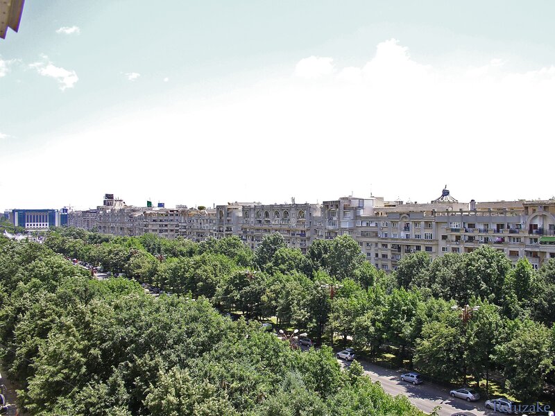 city view with trees and buildings