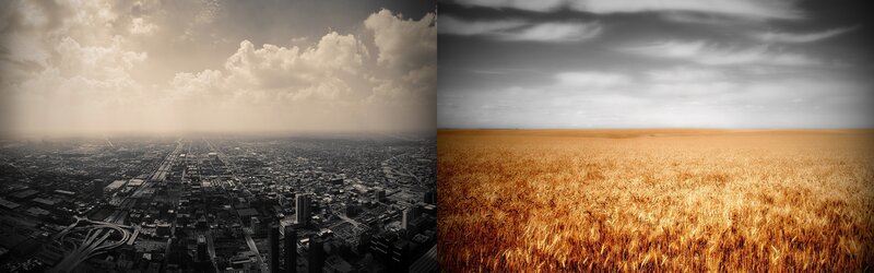 Cityscape and Wheat Field