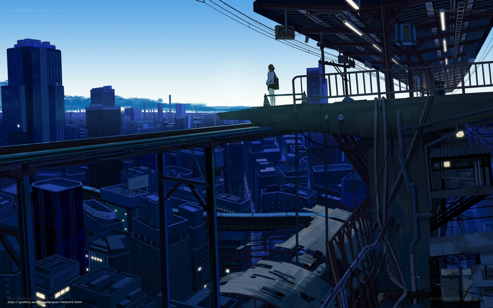 Cityscape at dusk from a bridge
