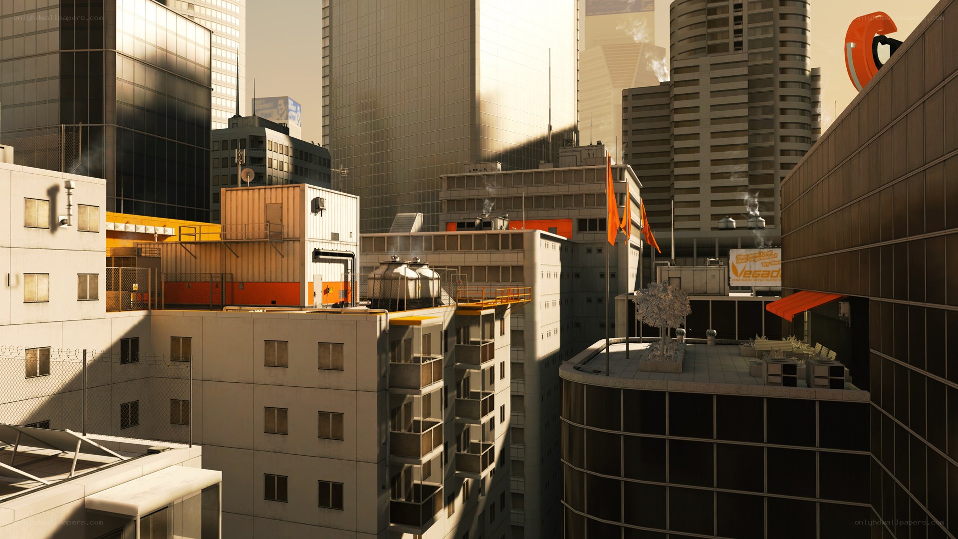 cityscape at golden hour
