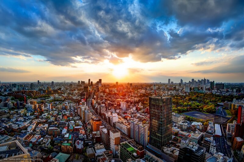 Cityscape at Sunset — Blue, Dramatic, Photograph, Skyscrapers, Clouds, Trees