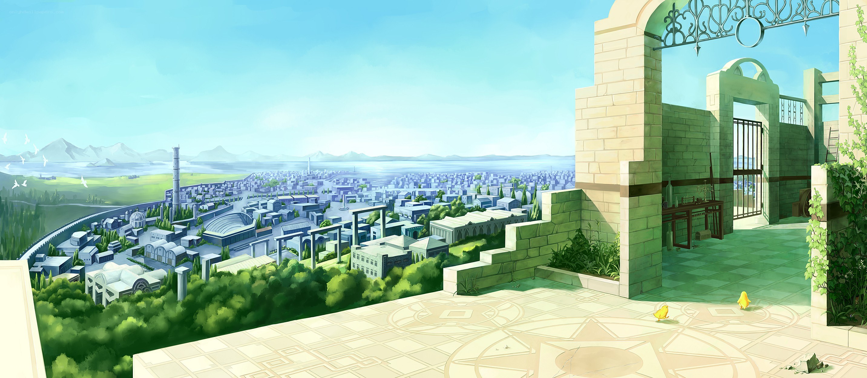 cityscape from a high vantage point