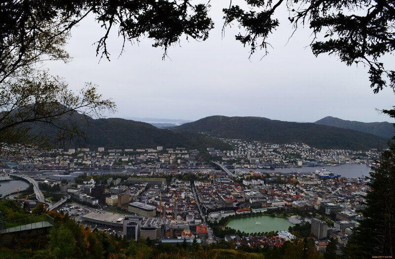 Cityscape from Hill — Green, Overcast