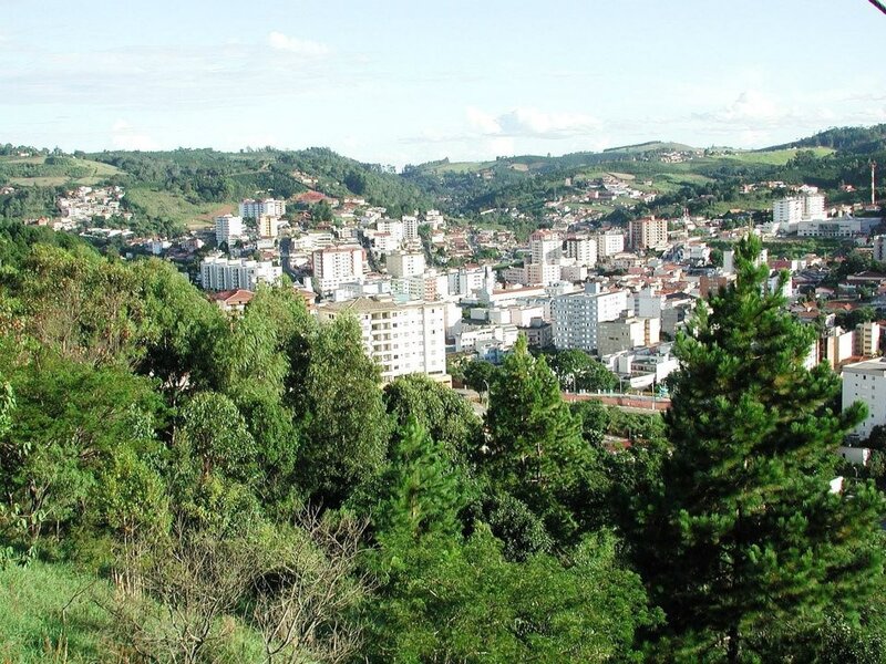 Cityscape from Hillside — Green, Serene, Afternoon
