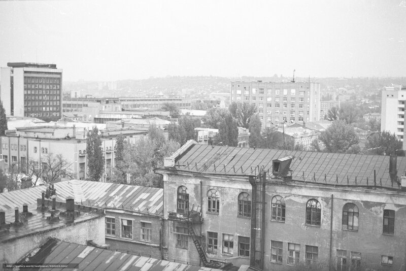 Cityscape from Rooftop — Black