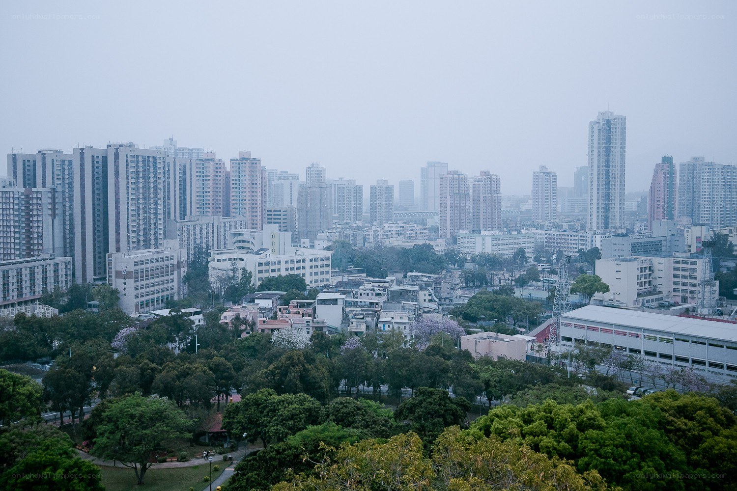 Cityscape on a hazy day