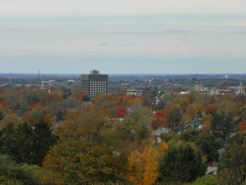 Cityscape with Autumn Trees