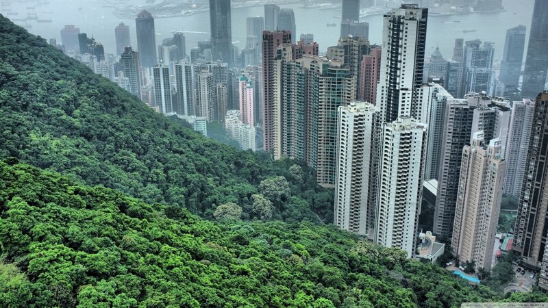 Cityscape with Forest