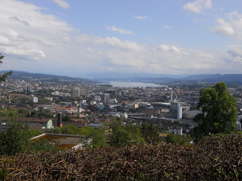 Cityscape with Lake