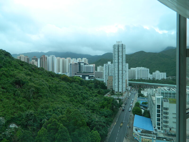 Cityscape with Mountains — Green