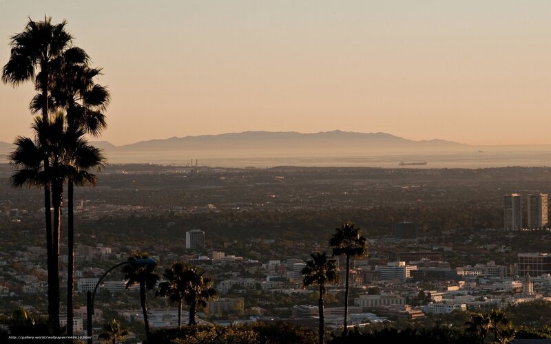 Cityscape with Palm Trees