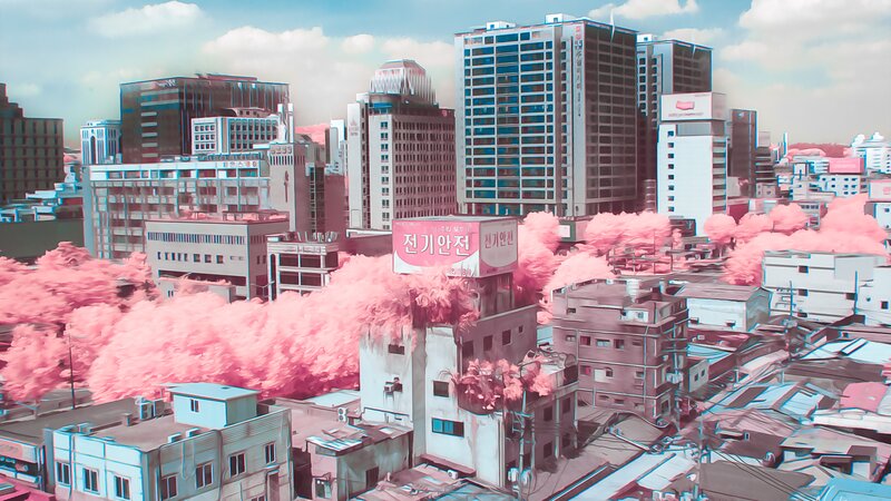 Cityscape with Pink Trees — Dreamy