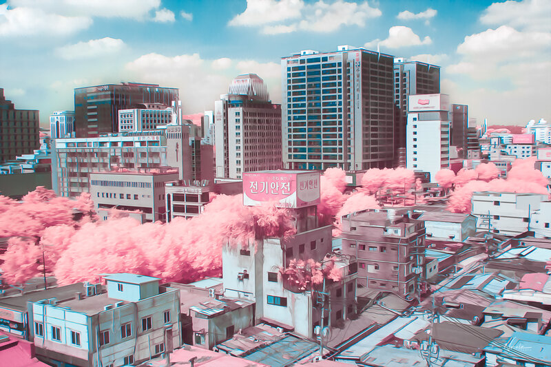 Cityscape with Pink Trees
