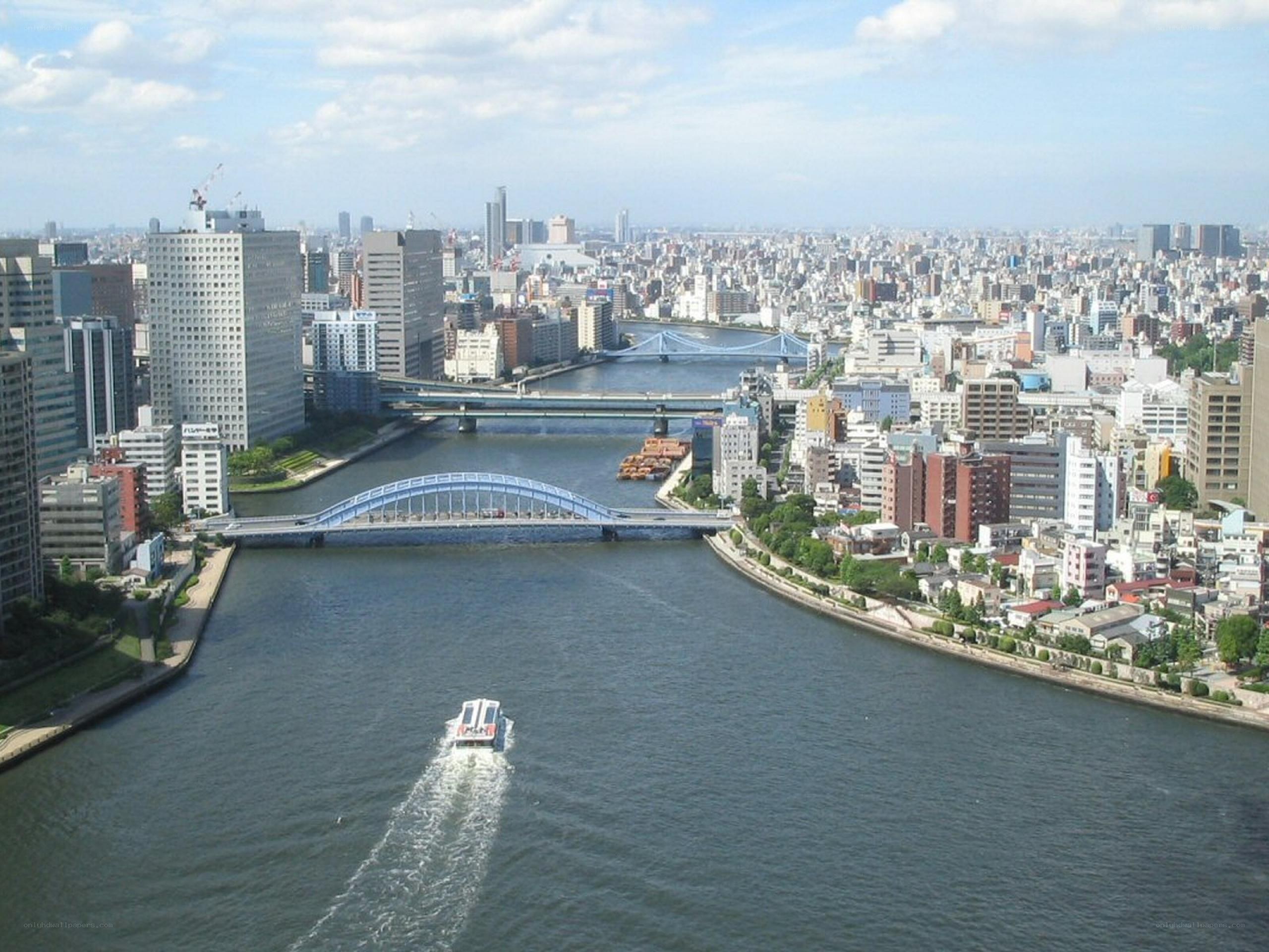 Cityscape with river and bridges