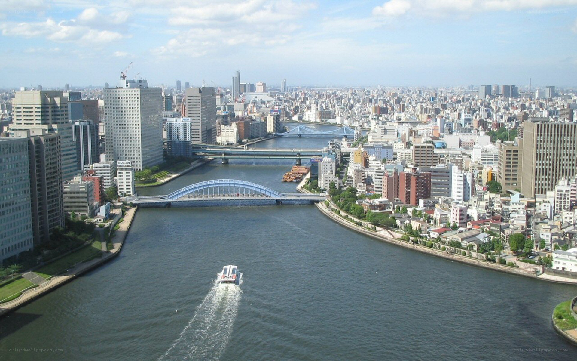 Cityscape with river and bridges