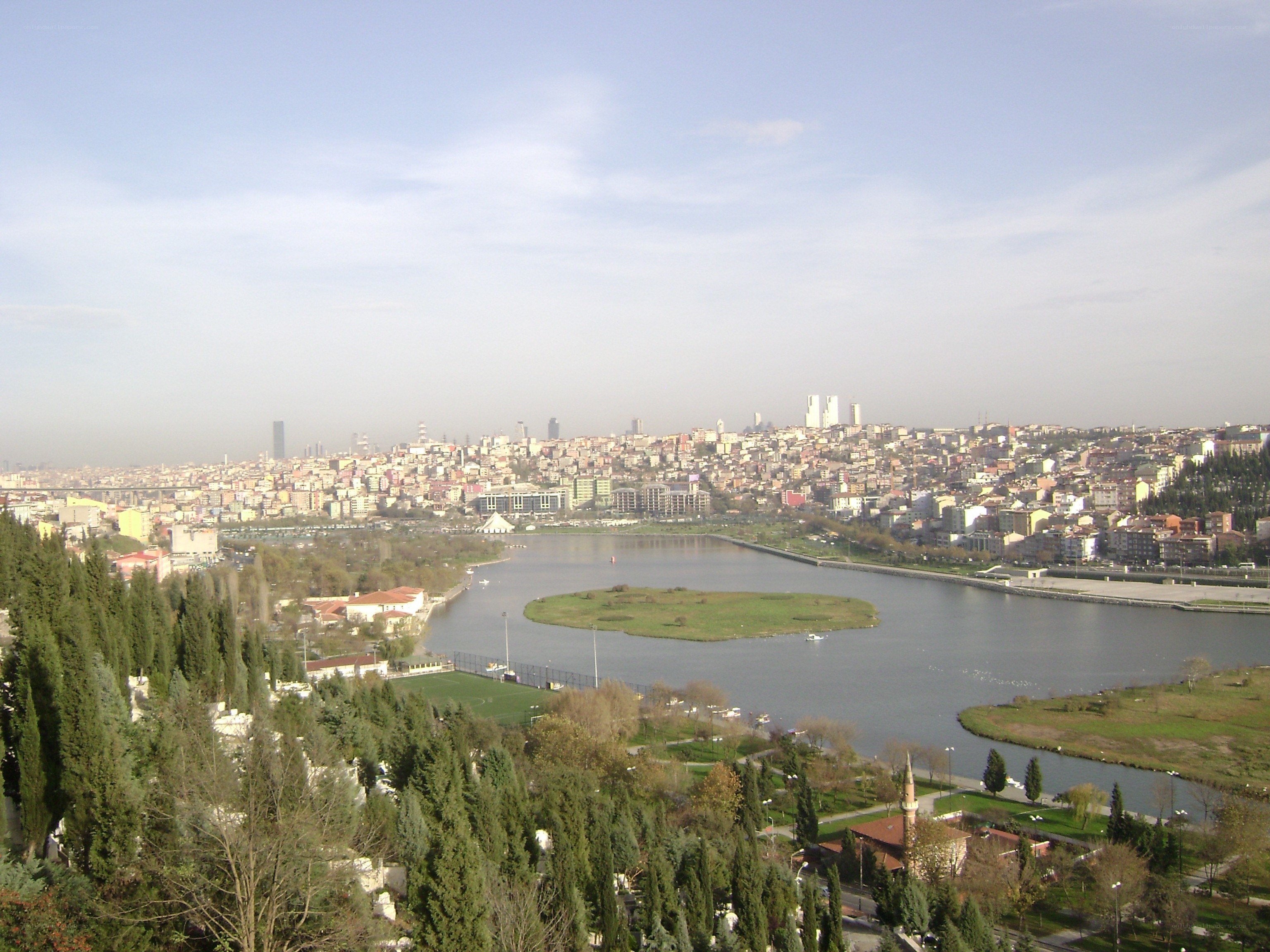 cityscape with river and island