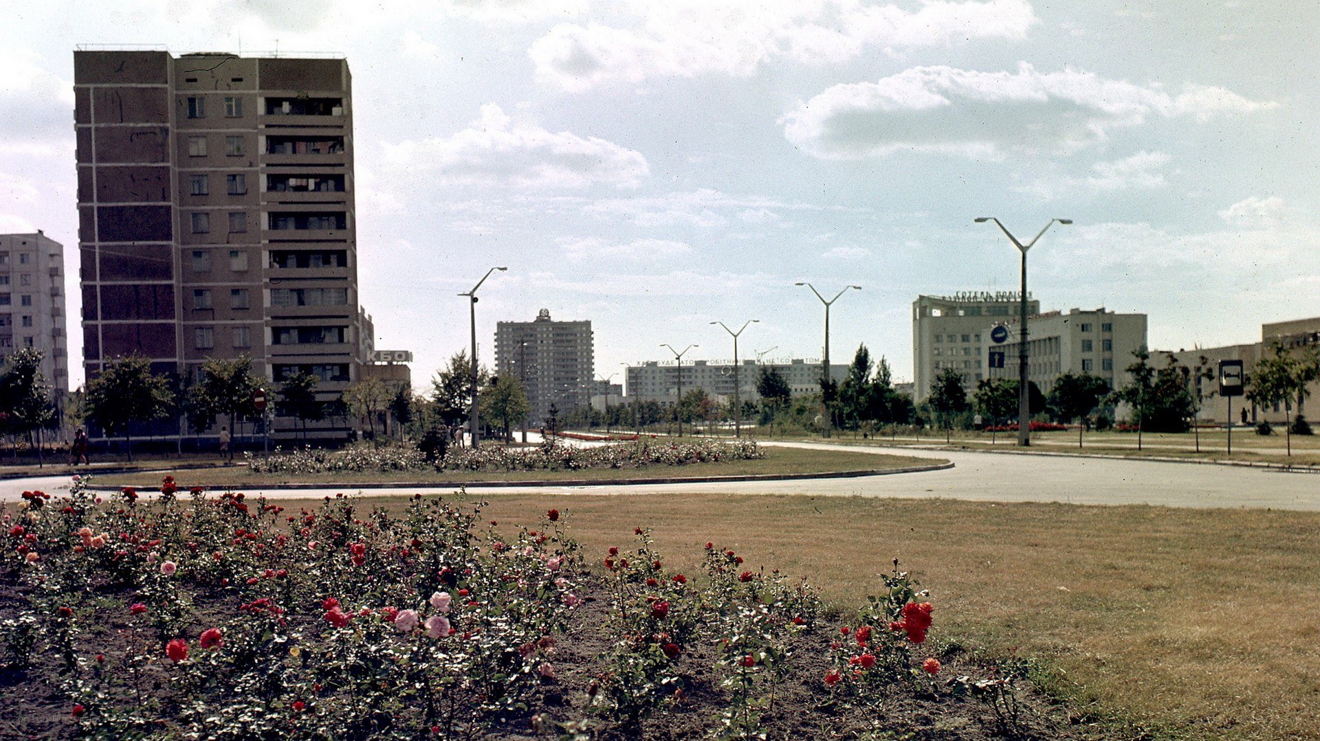 Cityscape with rose garden