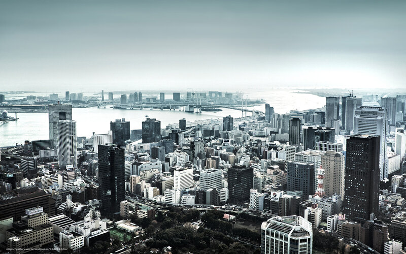 Cityscape with Skyscrapers — Gray, Overcast, Photograph