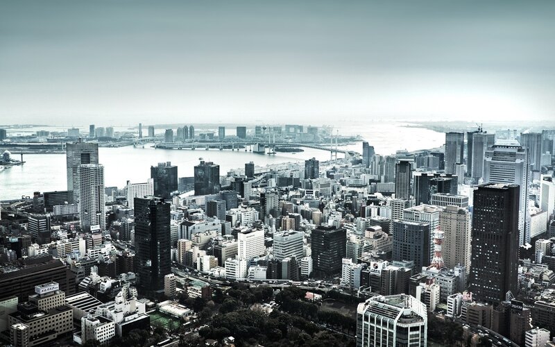 Cityscape with Skyscrapers — Gray, Overcast