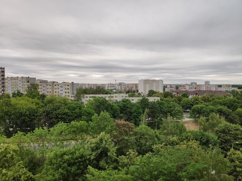 Cityscape with Trees — Green