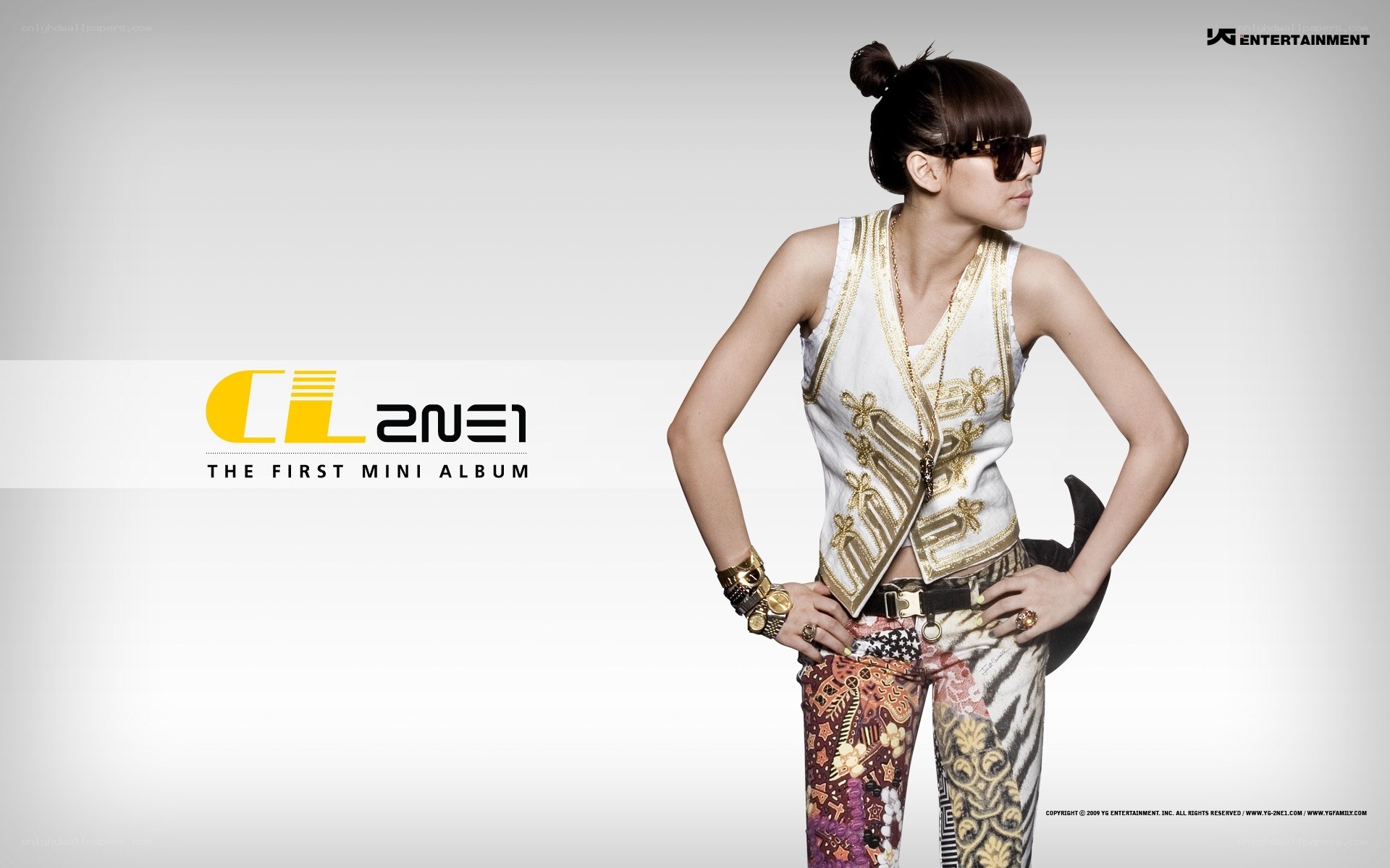 CL 2NE1 album cover