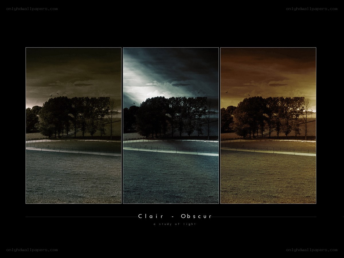 Clair - Obscur: A Study of Light