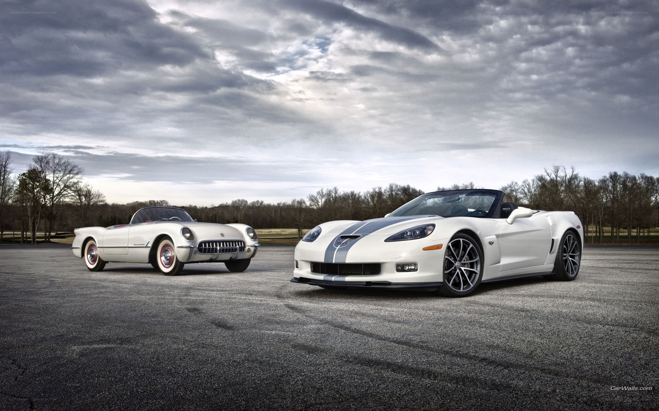 Classic and modern corvettes