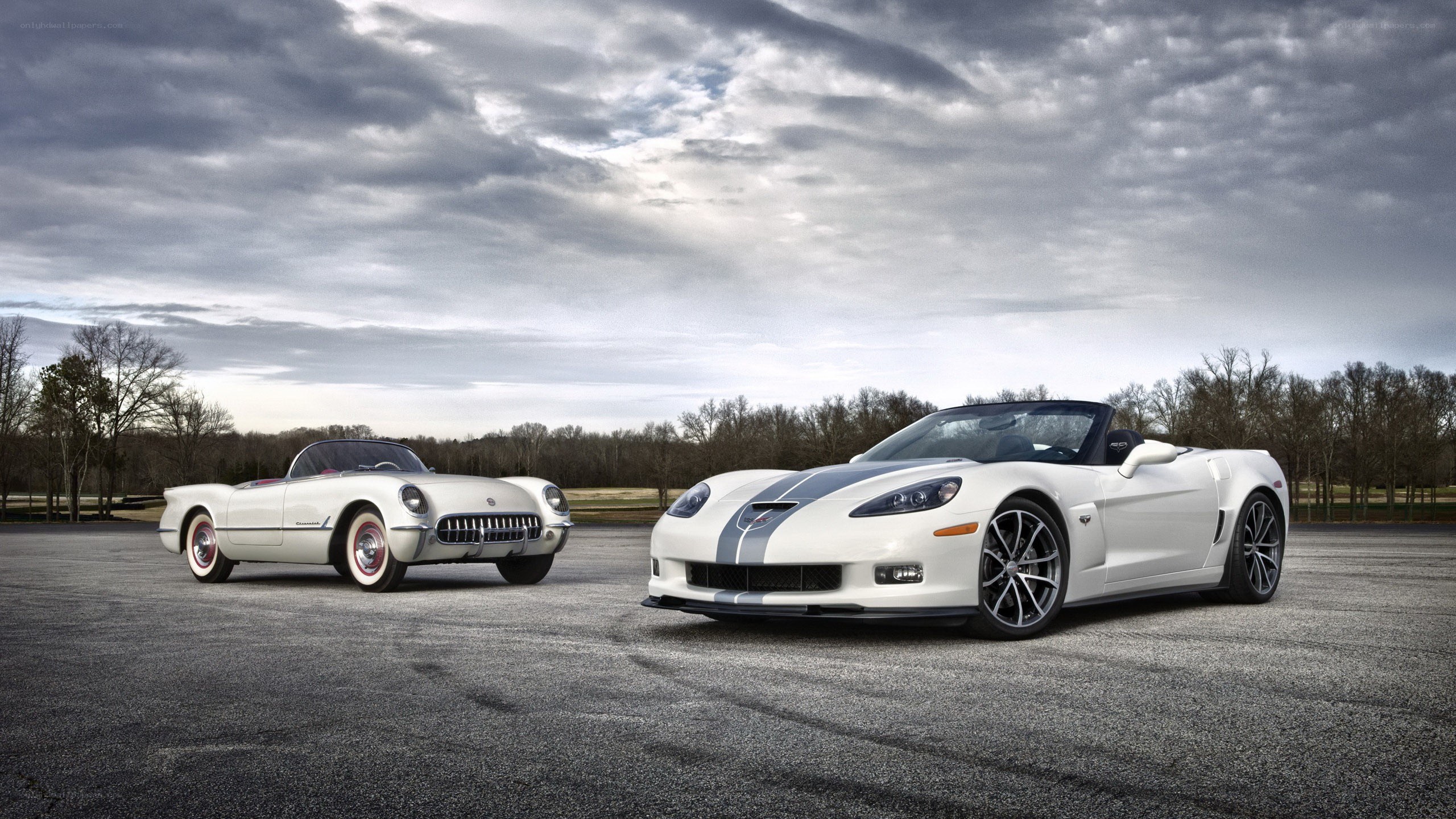 Classic and modern corvettes