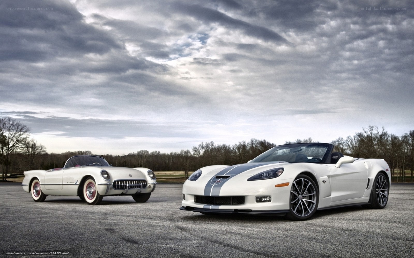 Classic and modern corvettes