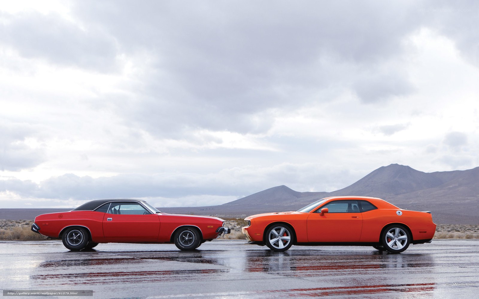 Classic and modern muscle cars