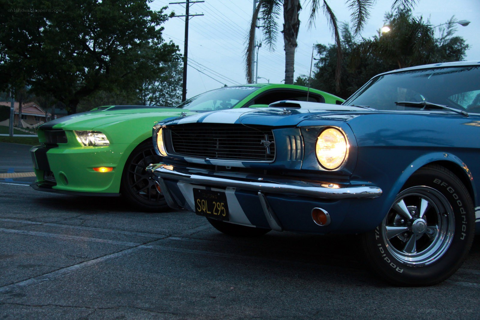 Classic and modern Mustangs