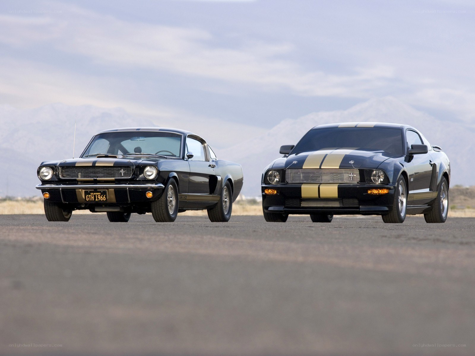 Classic and modern Mustangs