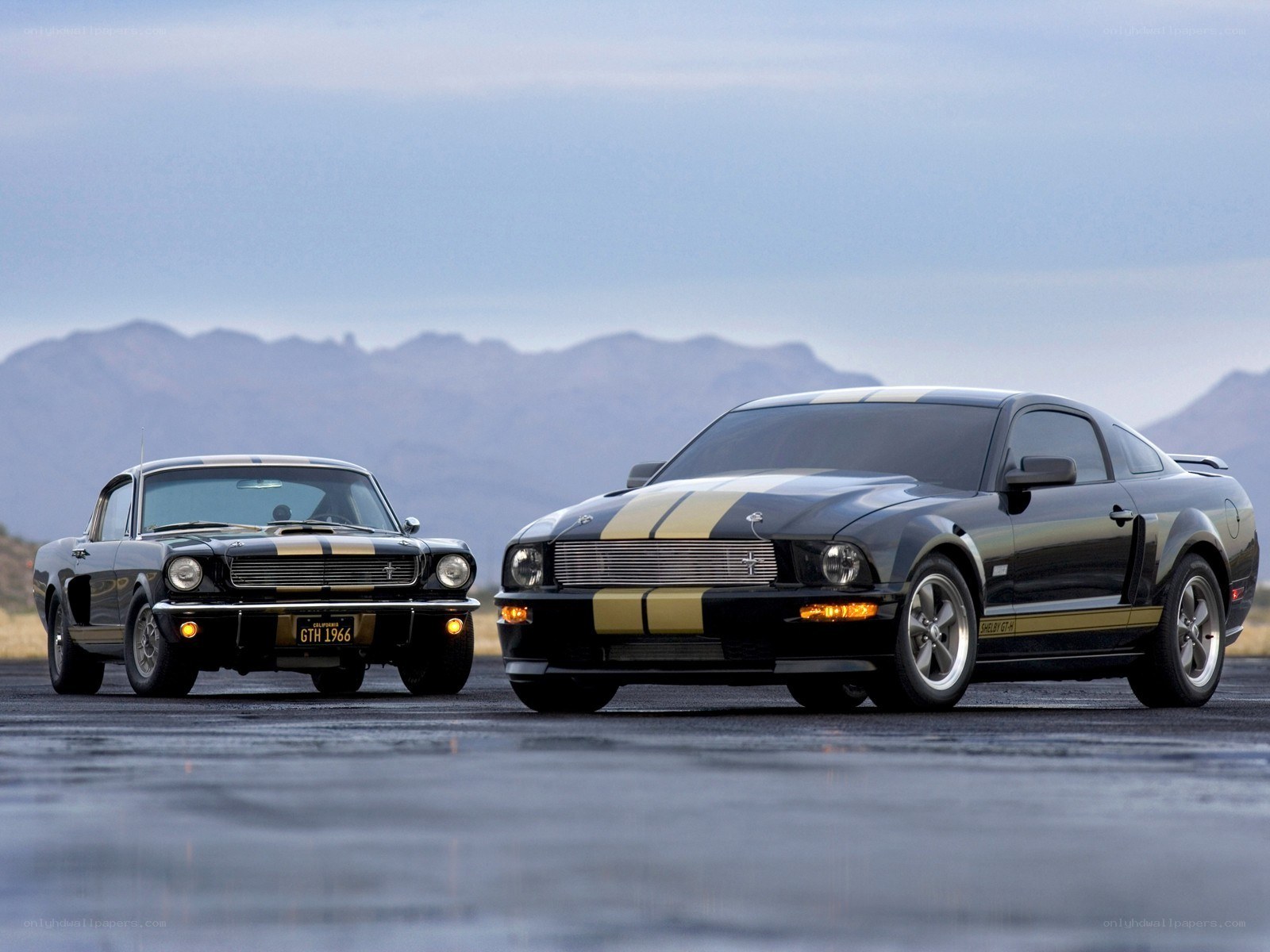 Classic and modern Mustangs