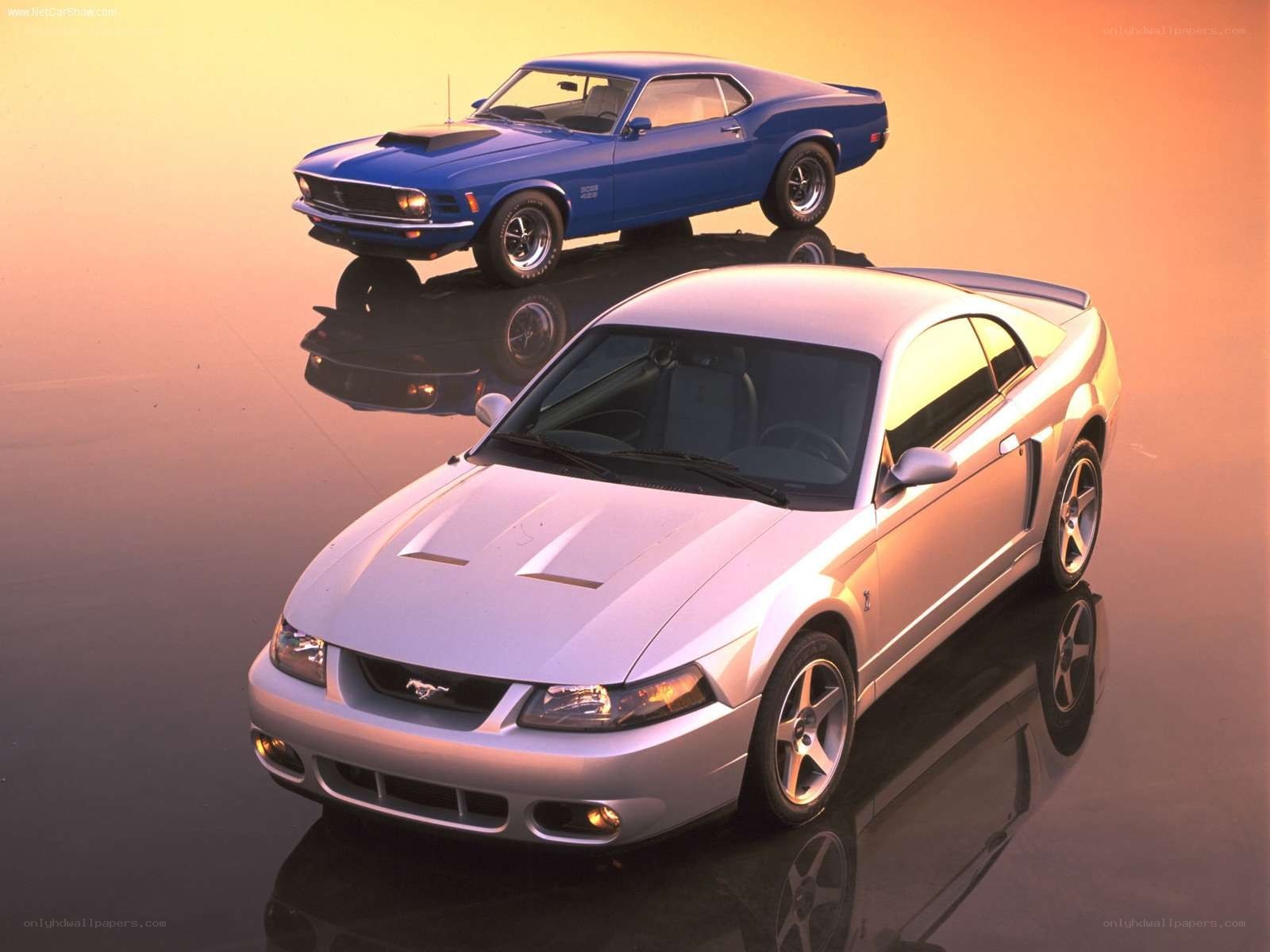 Classic and modern Mustangs